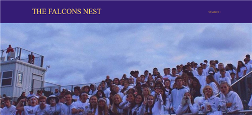 Falcon Nest 